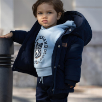 Timberland Hoodie pale blue