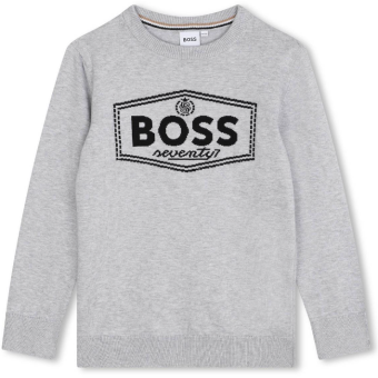 Boss sweater Grey