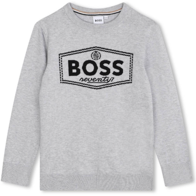 Boss sweater Grey