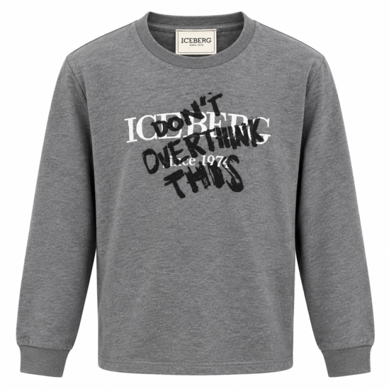 Longsleeve grey Iceberg