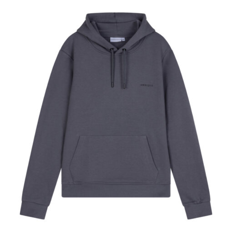  Nick hoodie Stone Grey 111 AMBIQUE