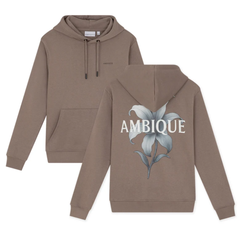 Hoodie taupe Ambique