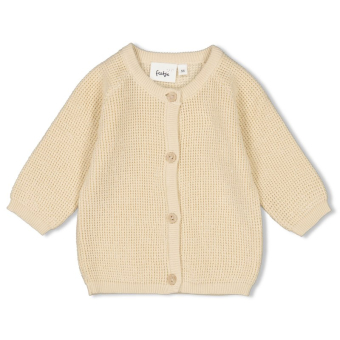 Feetje vestje Special delivery