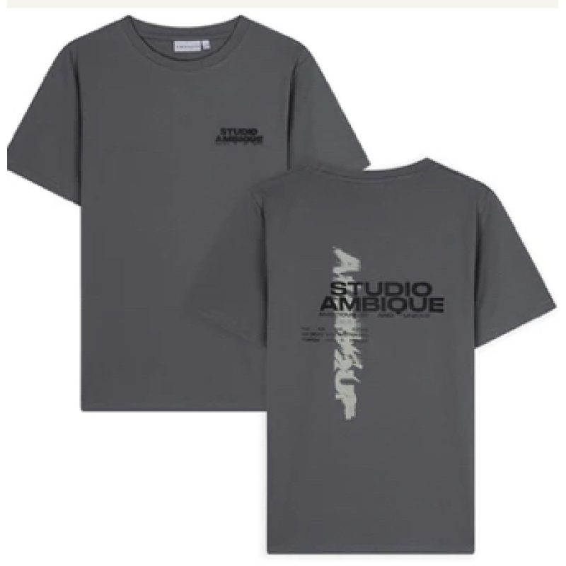 AMBIQUE T-Shirt ACE Stone Grey