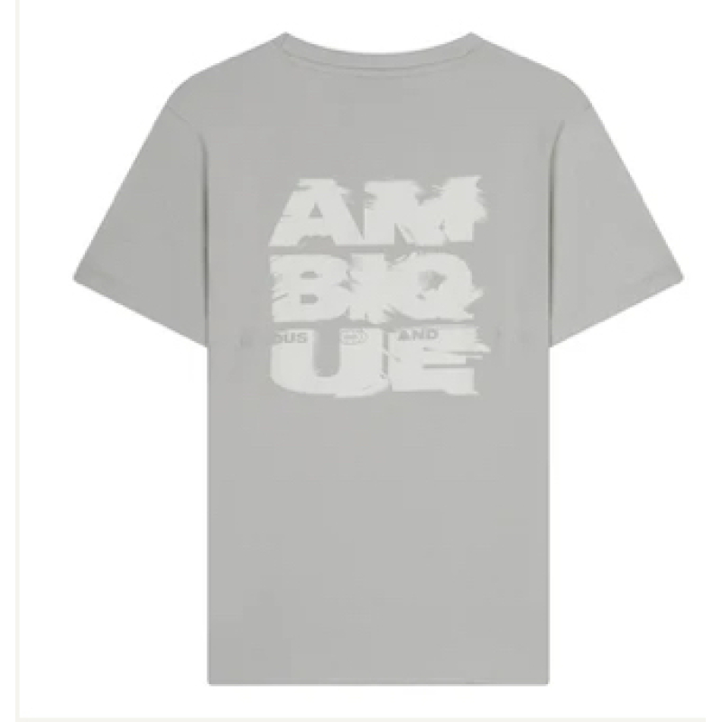 AMBIQUE T-Shirt DAMON Light Grey