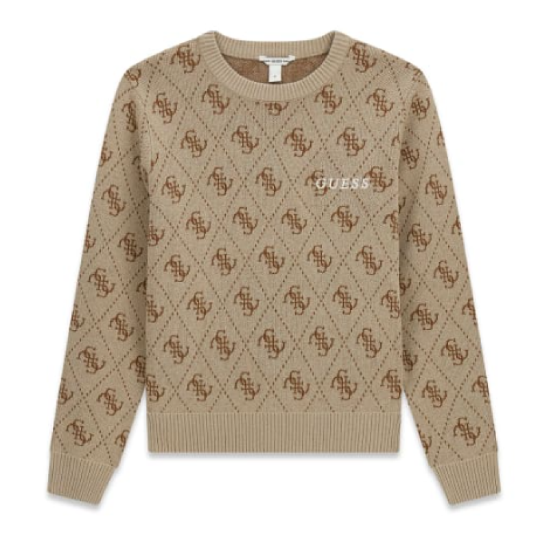 Guess Knit Sweater brown
